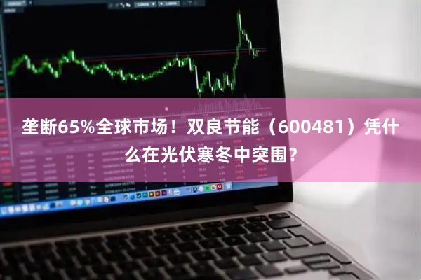 垄断65%全球市场！双良节能（600481）凭什么在光伏寒冬中突围？