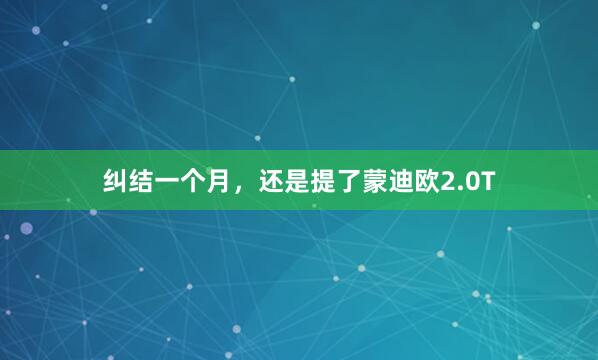 纠结一个月，还是提了蒙迪欧2.0T